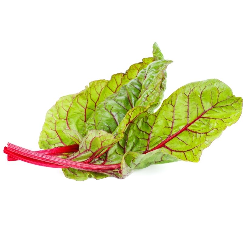 Semi di bietola da coste "Rhubarb chard" piante per orto e giardino coltivazione domestica e professionale