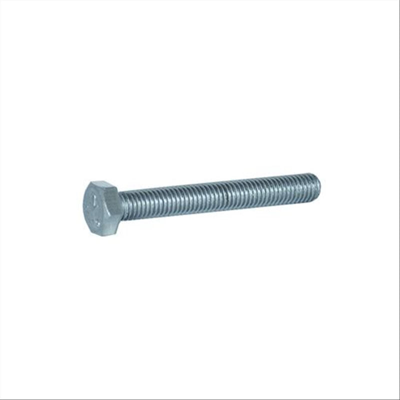 Viti t.e. a2-70 inox 10 x 80