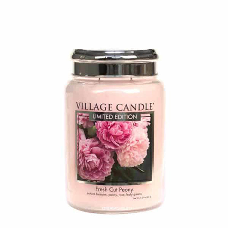 Candele profumate "Village Candle" profumatore per ambienti, Giara in vetro 730 gr, 26 once