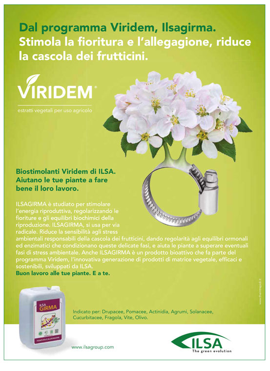 Biostimolante per fioritura e allegaggione "ILSA VEGETUS" a base di idrolizzato enzimatico Fabaceae 1 lt